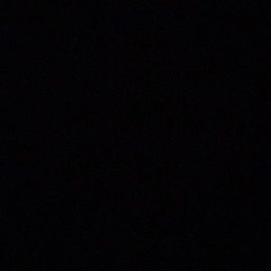 Meet your Posher, Bonnie